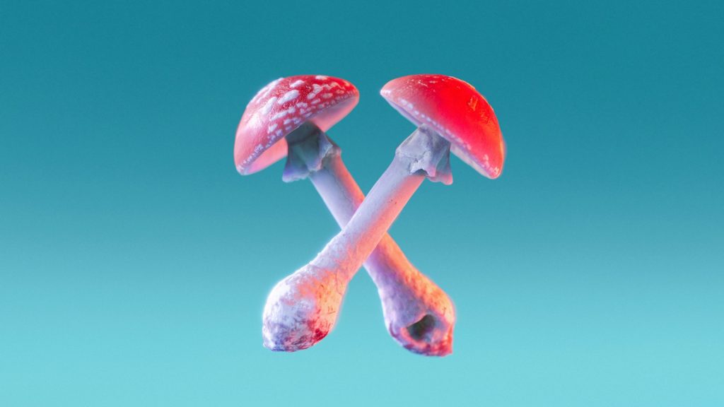 Muscaria Gummies
