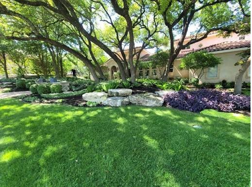 Professional Landscape